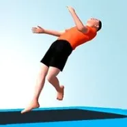 Trampoline Flip