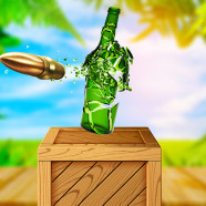 Play Xtreme Bottle Shoot now!